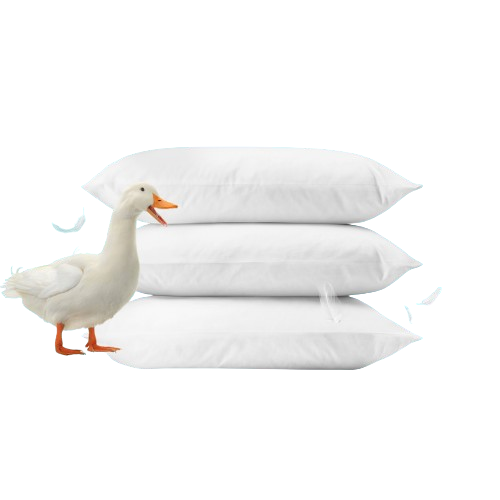 Hungarian Goose Down Pillow – Luxury Hotel Bedding USA