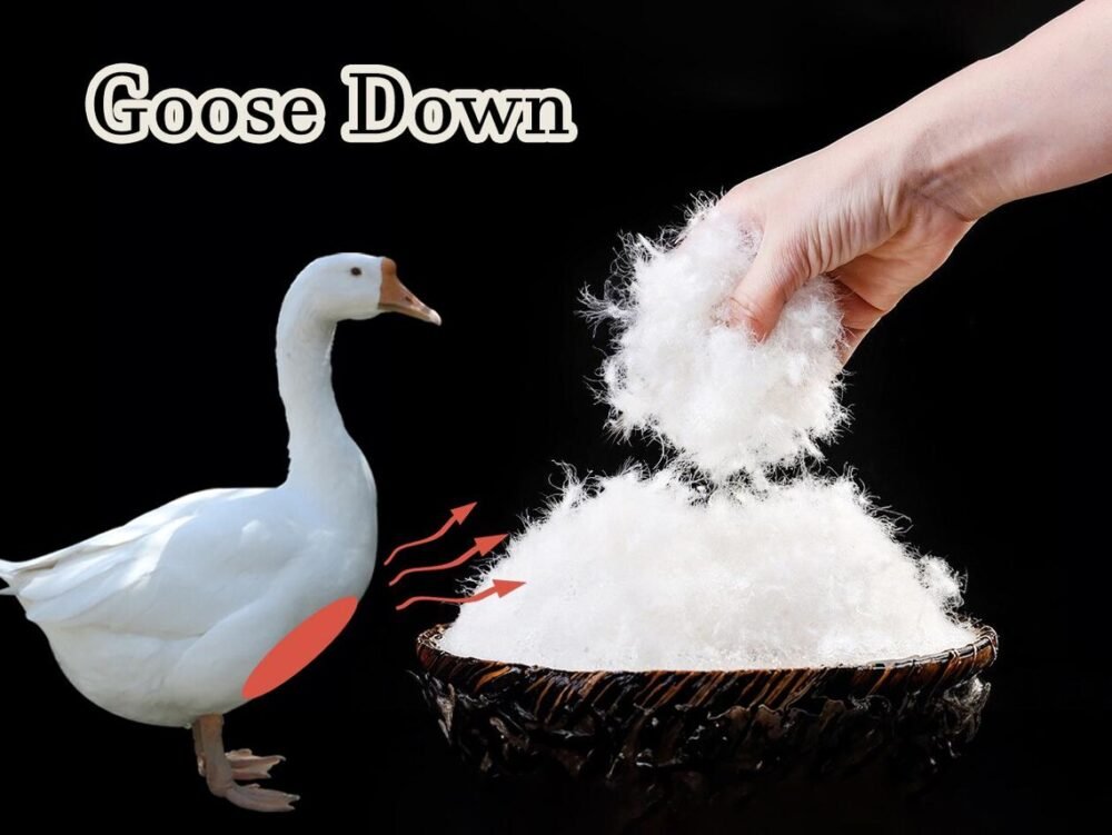 Luxury Goose Down Pillow for Hotels, Hospitals & Homes – Canada & USA
